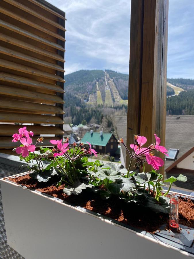 Luxusní Apartmán u sjezdovek s garáží Harrachov Exterior foto